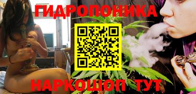шишки Краснознаменск